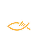Outdoor Stories Logo